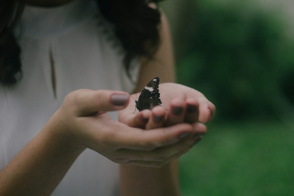 A black butterfly on woman's palm