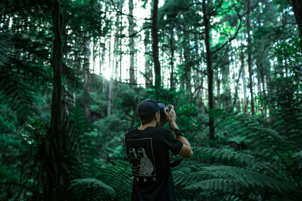Person taking photo using black camera under green leaf trees at daytime