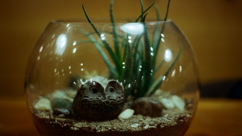 Glass terrarium with sand, a small owl figurine, pebbles, and green plants.
