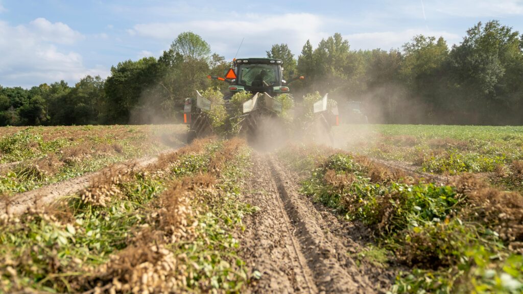 A truck drives through a farm field, releasing a wide mist of pesticide into the air as it moves between rows of crops.