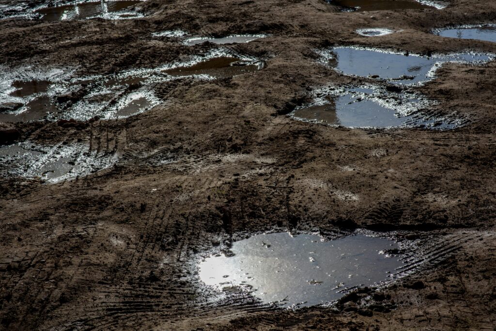 A ground surface with scattered puddles of water, where some areas appear moist, indicating recent rainfall