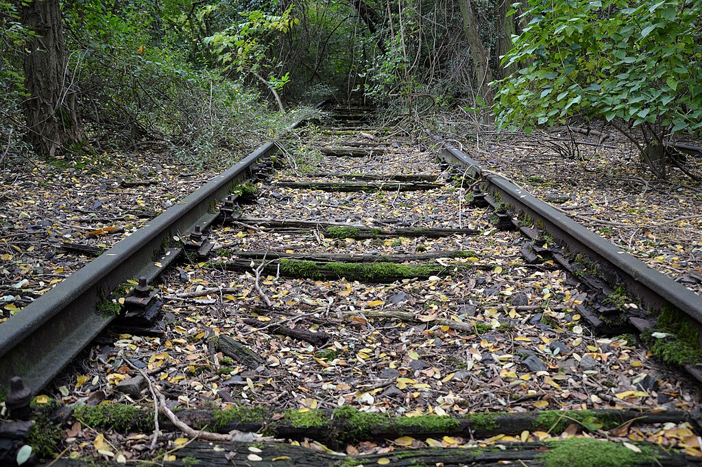 Nature overgrows abandoned railroad tracks.