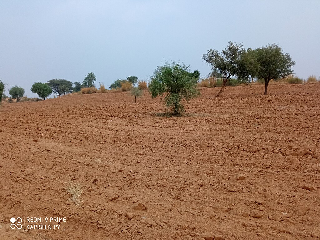 A farming area