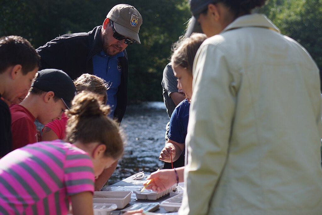 Students identifying insects