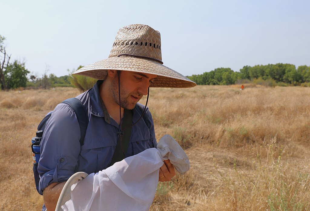 Nevin Cullen, USDA Agricultural Research Station, collects bees