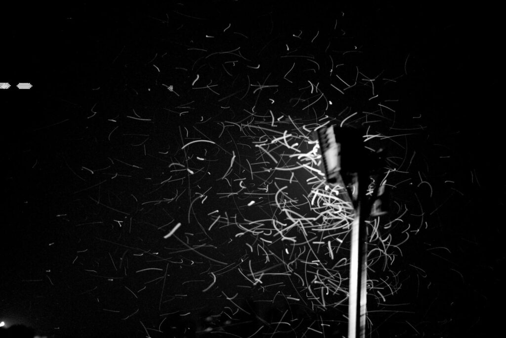 A black and white scene capturing motion blur of insects around a streetlight at night.