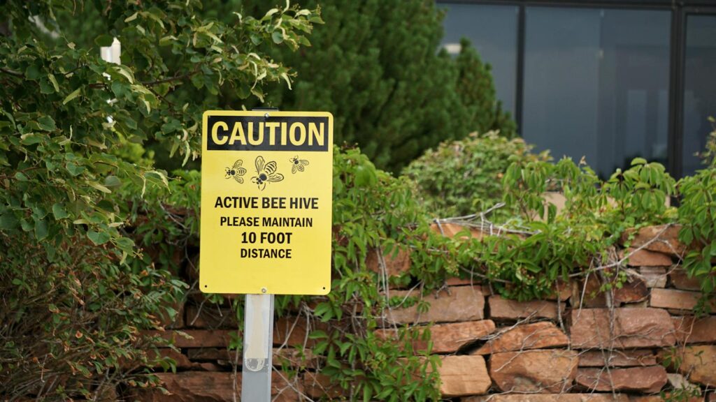 A yellow caution sign warns of an active bee hive and advises maintaining distance.