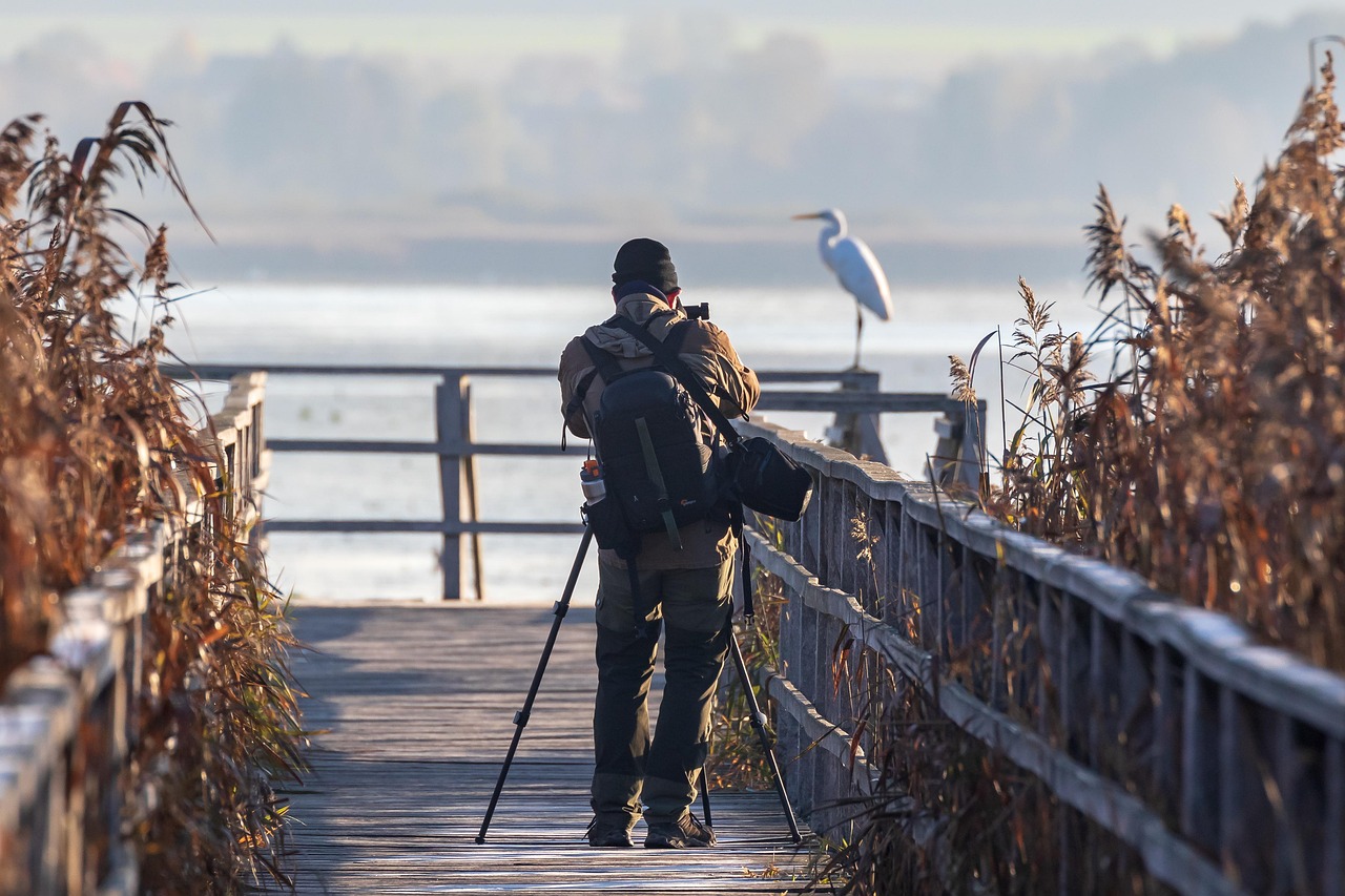 Citizen Science: Enlisting Public Help (image credits: pixabay)