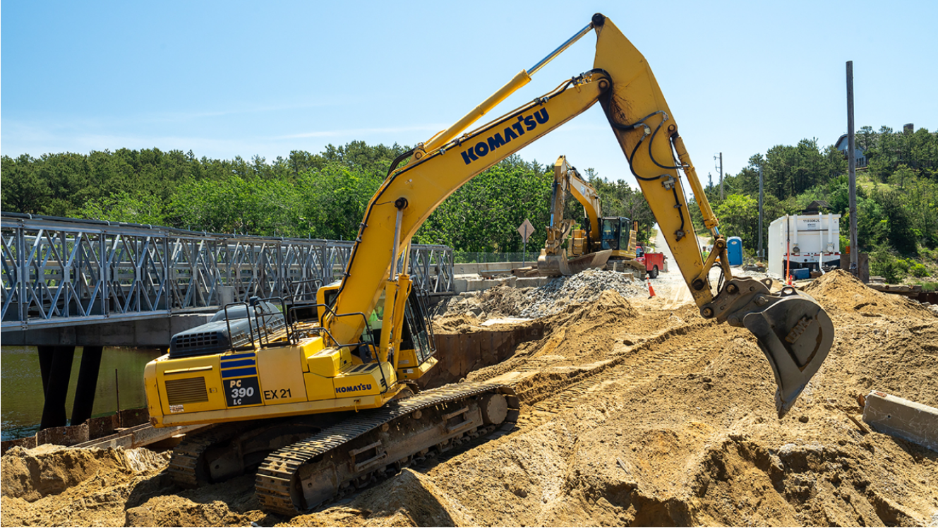 Habitat Restoration: Rebuilding What Was Lost (image credits: wikimedia)