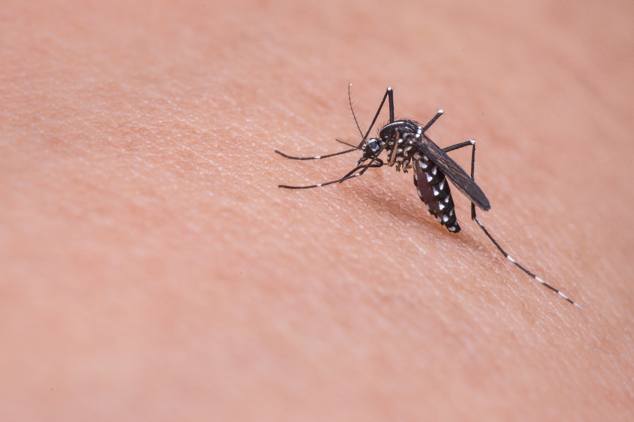 Geographic Variations in Parasitic Strategies (image credits: pixabay)