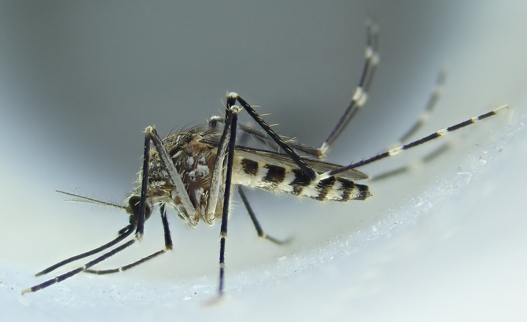 Climate Change: Creating New Opportunities (image credits: flickr)