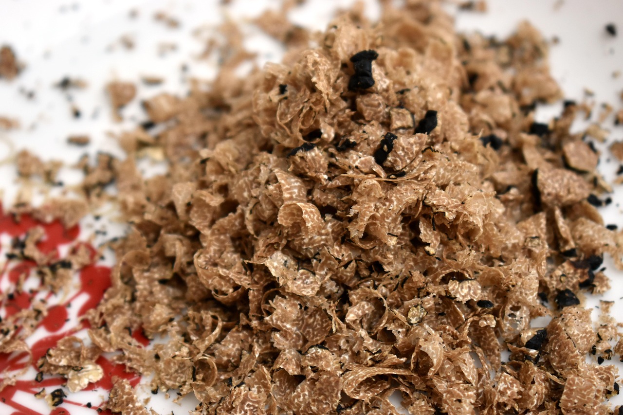Cost Comparison: Are Bug-Based Foods Breaking the Bank? (image credits: pixabay)