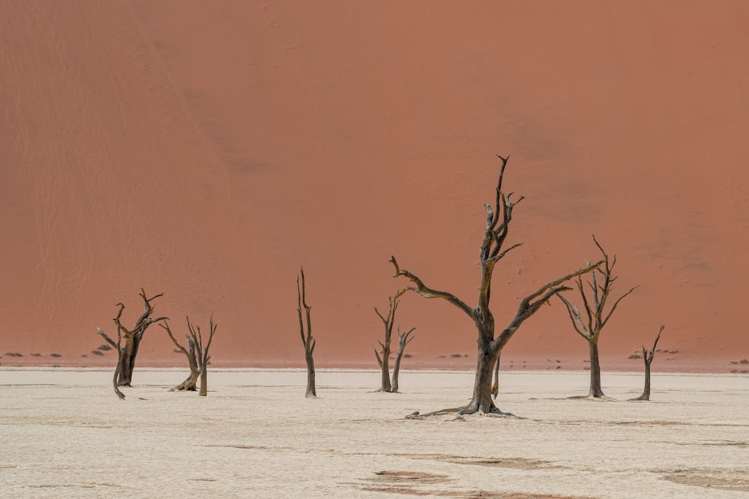 Climate Change and Parasitic Relationships (image credits: unsplash)