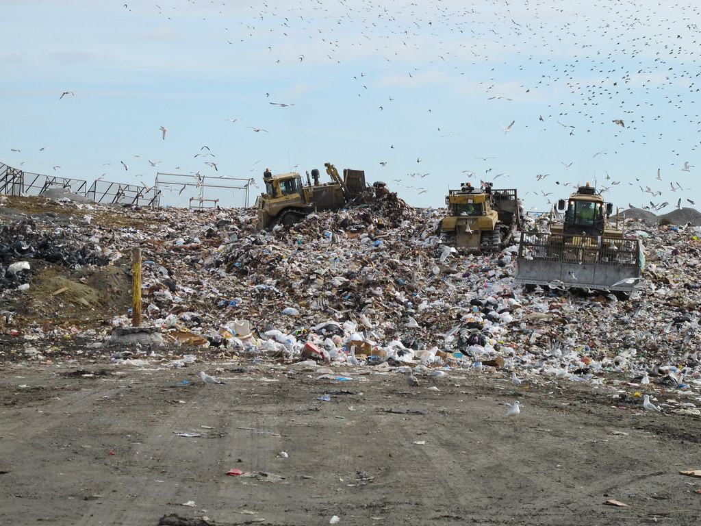 The Ecological Impact Beyond Landfills (image credits: flickr)
