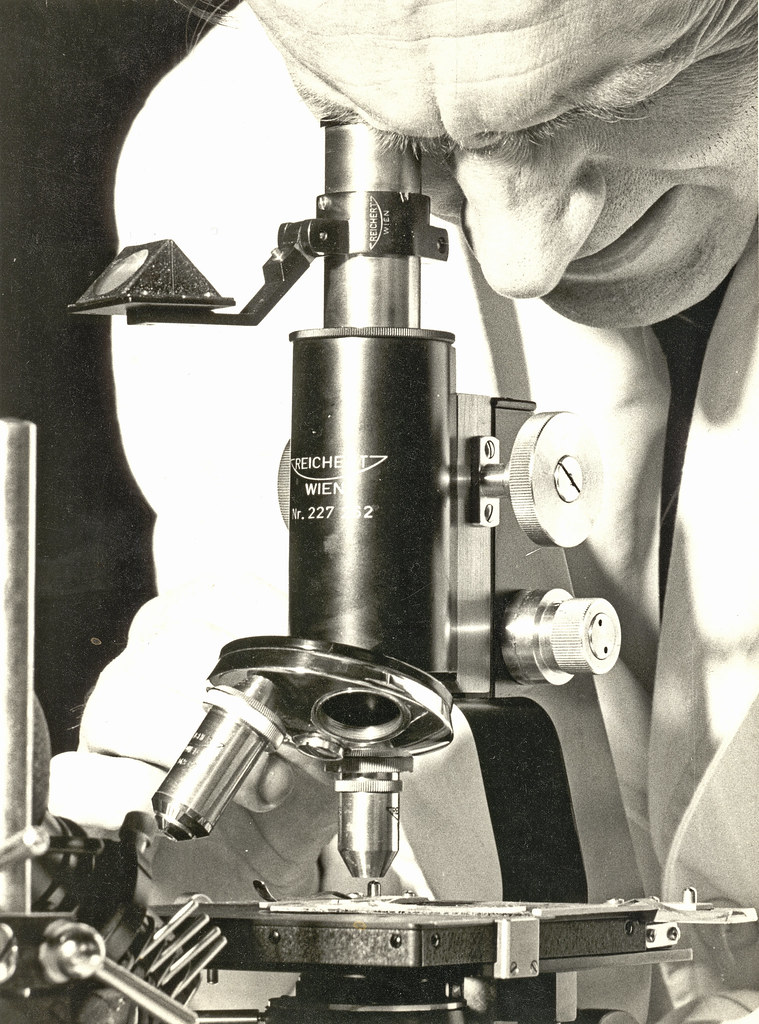 Detection Methods: How Scientists Find These Tiny Creatures (image credits: flickr)