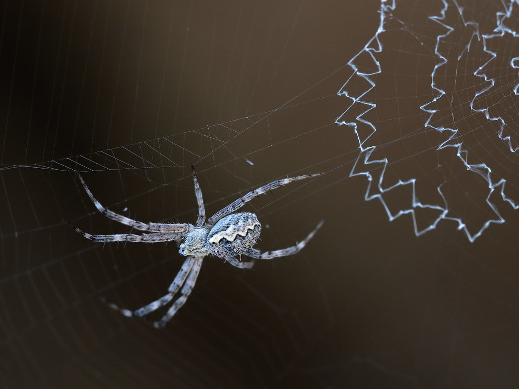Resource Management That Would Impress Any CEO (image credits: flickr)