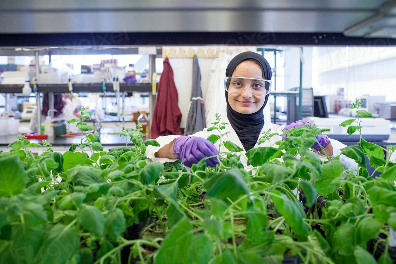 Research and Innovation: The Scientific Response (image credits: rawpixel)