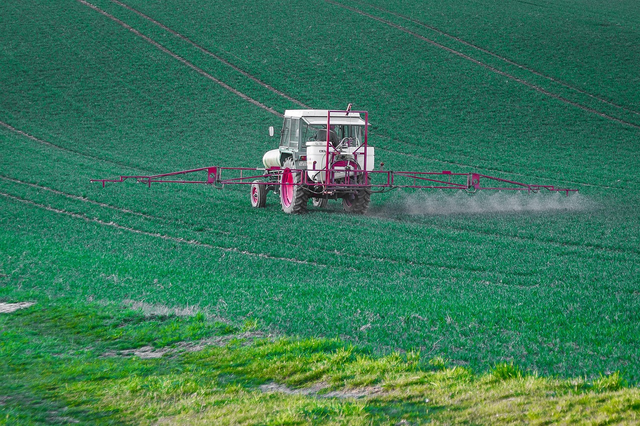 Integrated Pest Management: A Holistic Approach (image credits: pixabay)