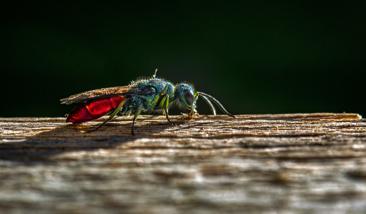 Parasitic Relationships and Body Horror (image credits: pixabay)