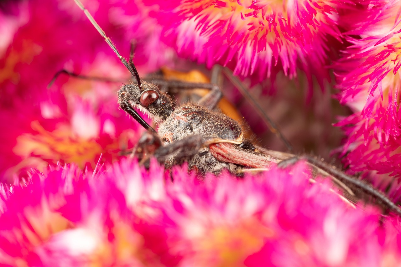 The Science Behind the Spooky Strategy (image credits: pixabay)