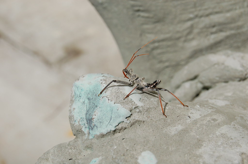 Modern Research and Future Discoveries (image credits: flickr)