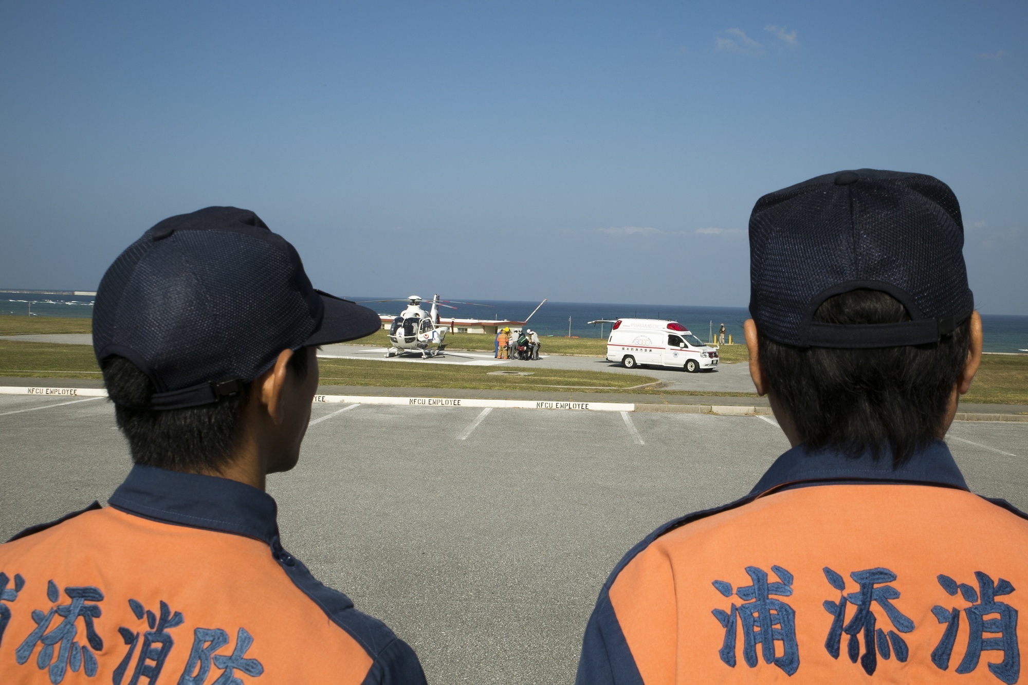Community Vigilance: Every Citizen a Sentinel (image credits: wikimedia)