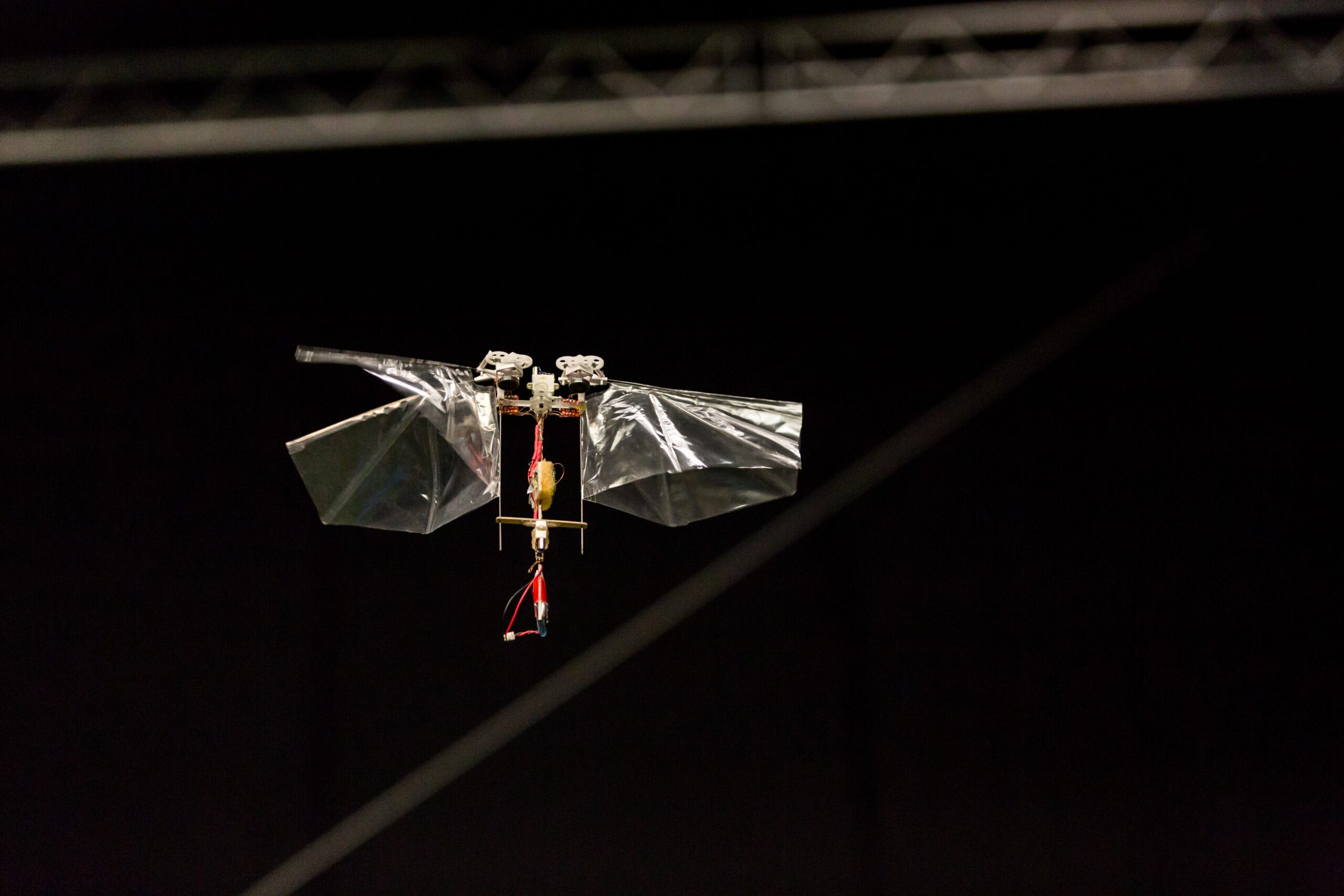 The Traditional View: Insects as Biological Robots (image credits: wikimedia)