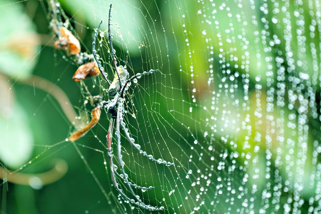 Genetic Engineering: Could We Create Them Artificially? (image credits: pixabay)