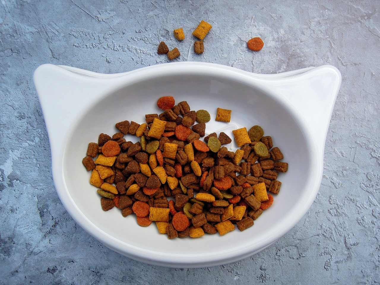 Pet Food Leading the Insect Revolution (image credits: pixabay)