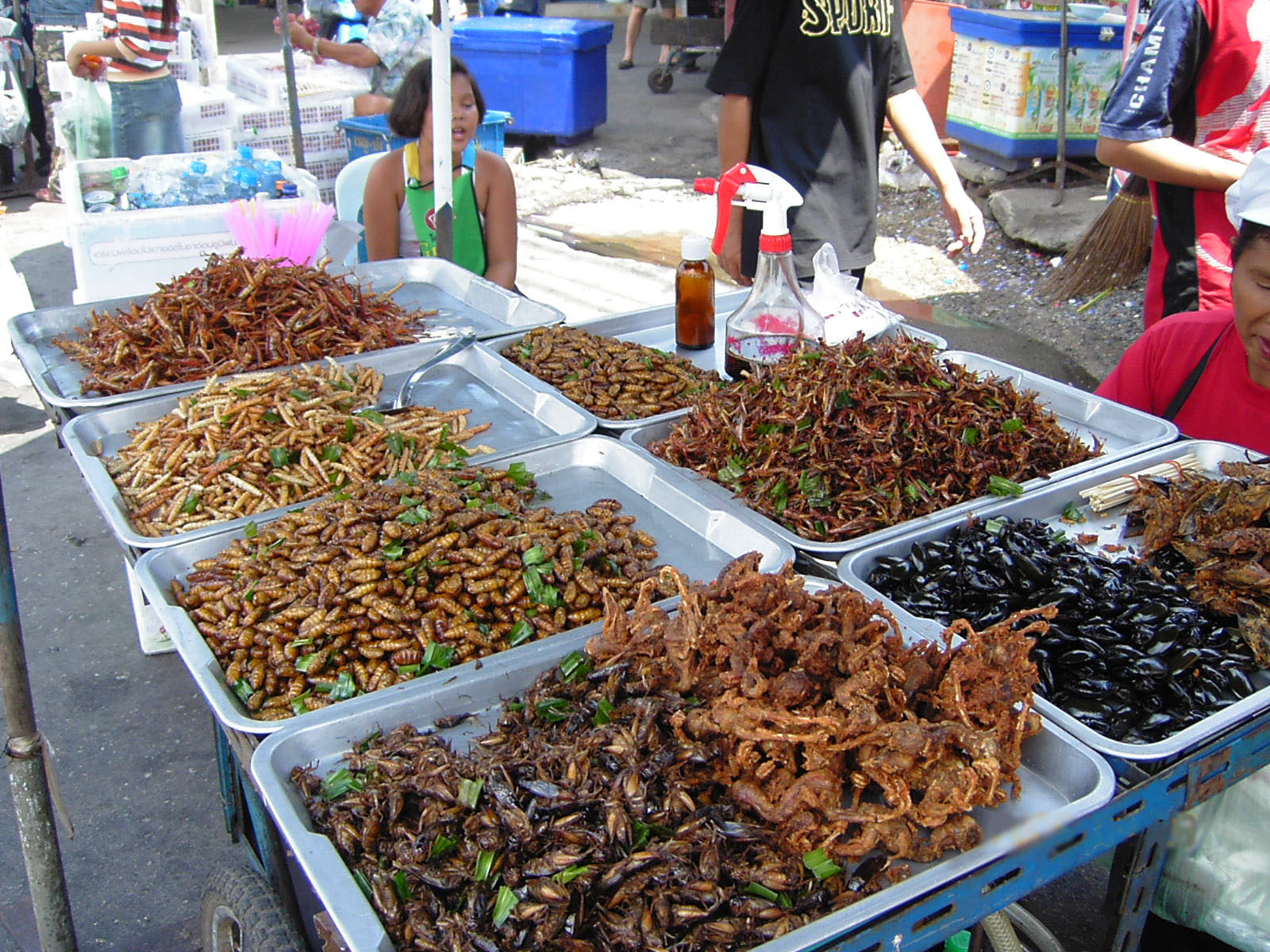 Global Perspectives on Insect Consumption (image credits: wikimedia)