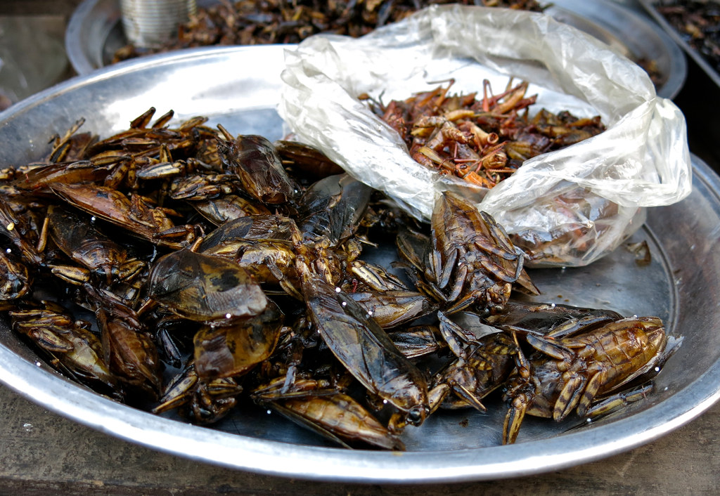 Conclusion: Embracing the Inevitable Food Evolution (image credits: flickr)