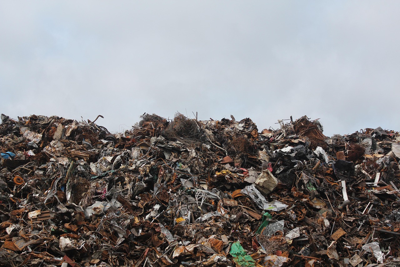 From Waste to Wealth: The Circular Economy Potential (image credits: pixabay)