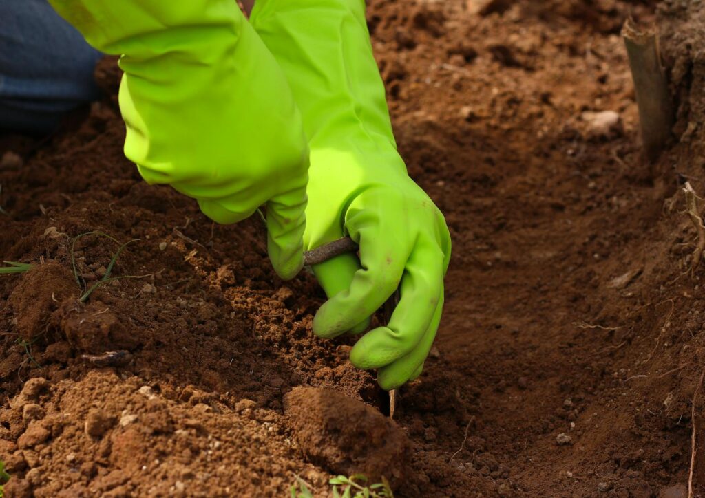 Close-up of gardener's hands in bright gloves using trowel to prepare soil outdoors.