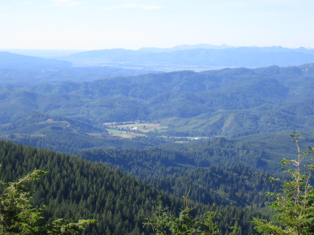 Vegetations around Mount Hebo