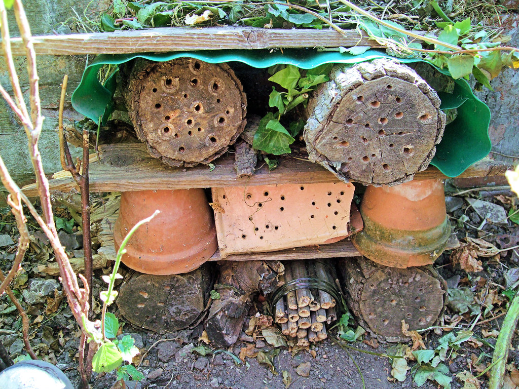 A Bug Hotel In West London.