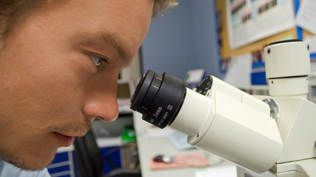 people, scientist, microscope, white, chemistry, microscopy, expensive, stereo, tool, biotechnology, equipment, scientific, object, research, biology, science, professional, laboratory, scientist, scientist, scientist, scientist, scientist, microscope, research, science