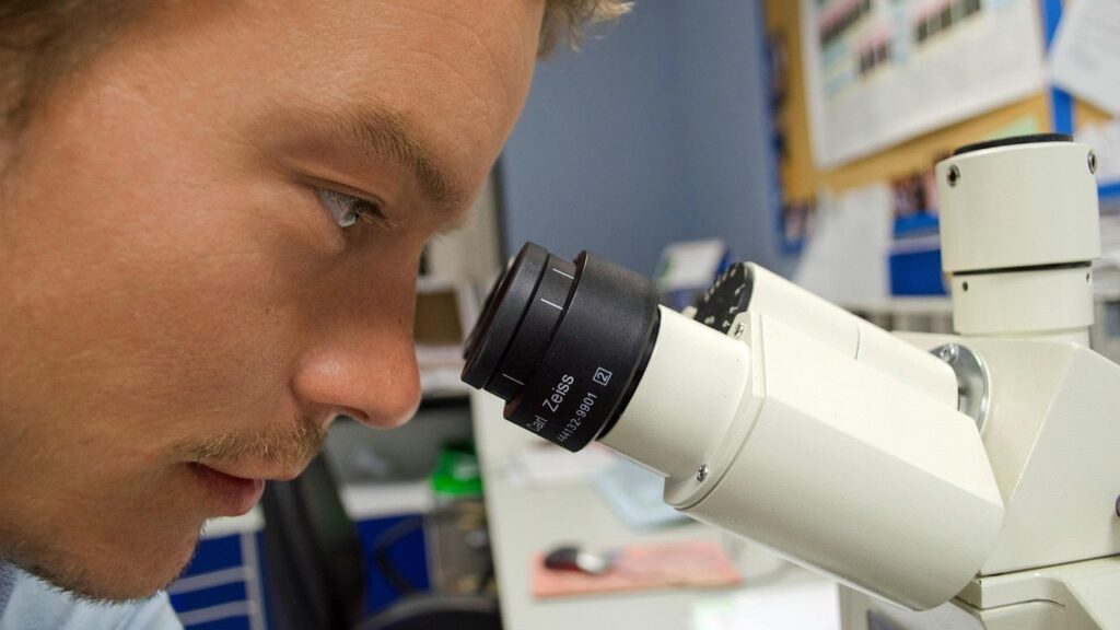 people, scientist, microscope, white, chemistry, microscopy, expensive, stereo, tool, biotechnology, equipment, scientific, object, research, biology, science, professional, laboratory, scientist, scientist, scientist, scientist, scientist, microscope, research, science