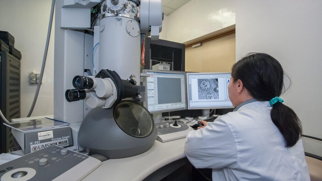 transmission electron microscope, universiti malaysia sabah, biotechnology research institute, gray research