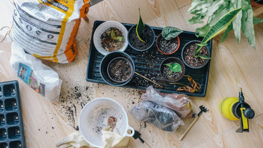Aerial view of indoor gardening tools and potted plants layout.