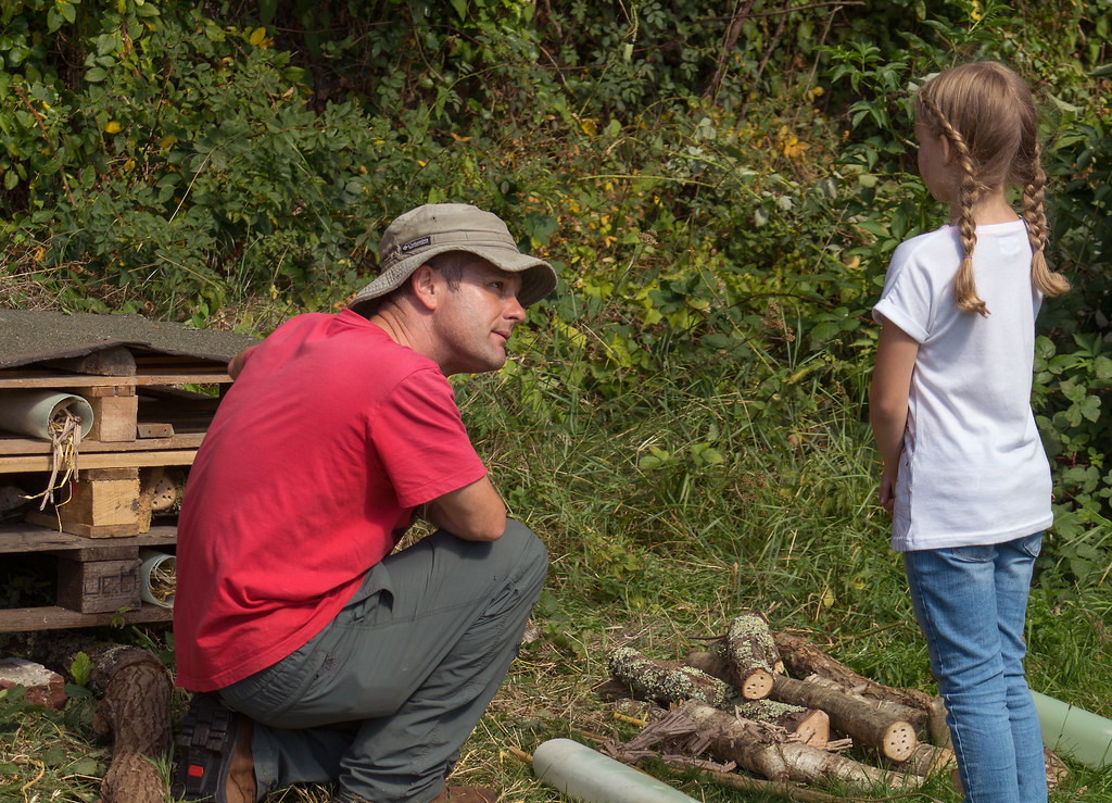 Bug Hotel Education