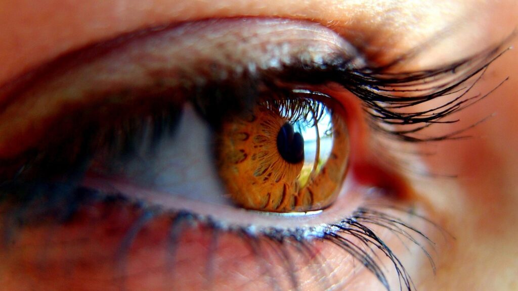 eye, girl, woman, pupil, iris, eyelashes, eyelashes, eyelashes, eyelashes, eyelashes, eyelashes