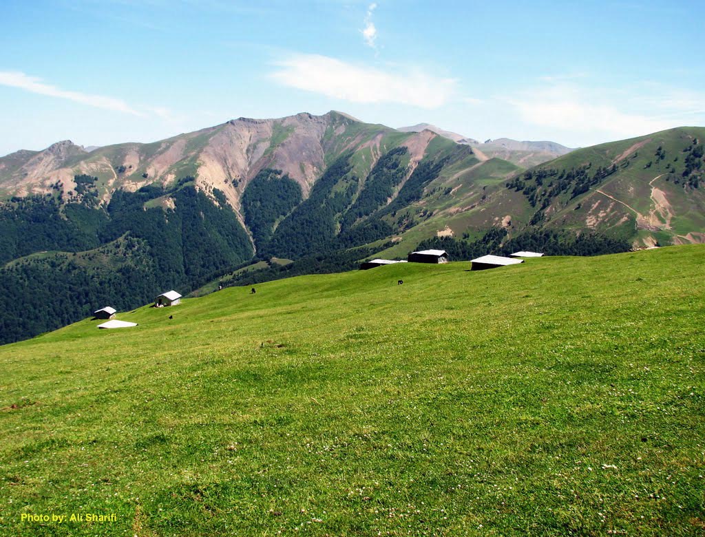 A protected area