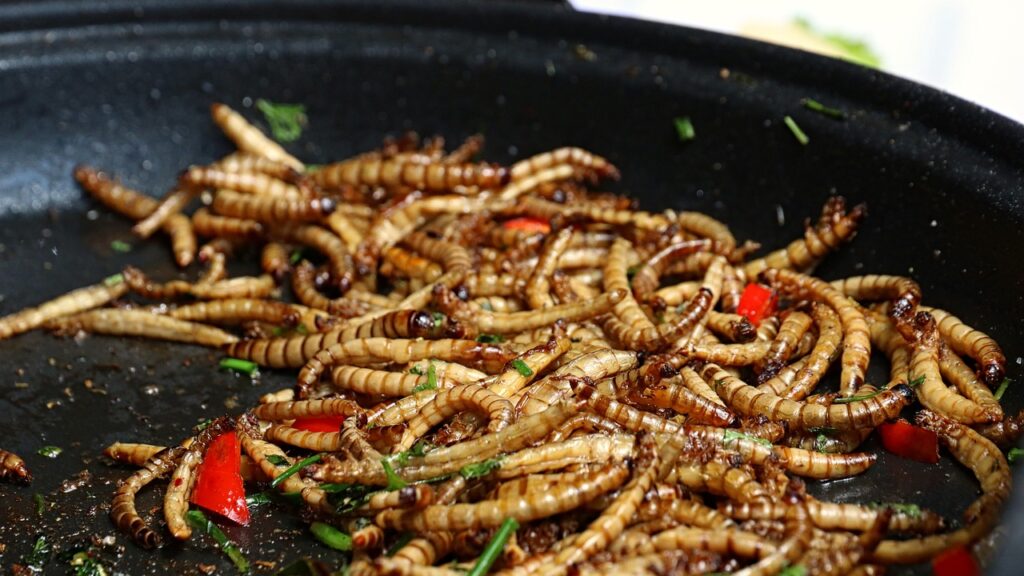 mealworms, food, insect, healthy, nutritious, fry, mealworms, mealworms, mealworms, mealworms, mealworms