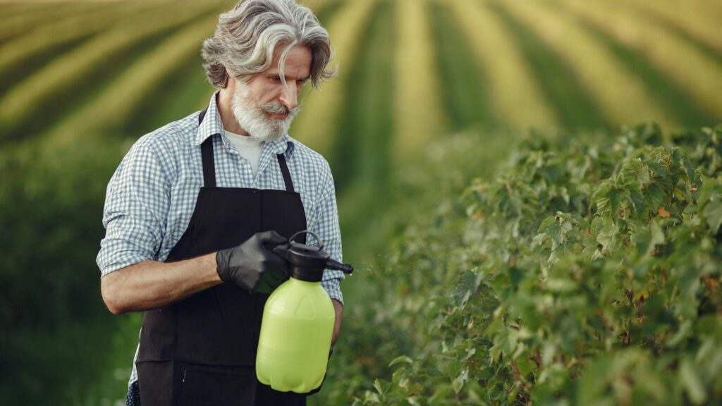Elderly man gardening in orchard, inspecting crops with sprayer.