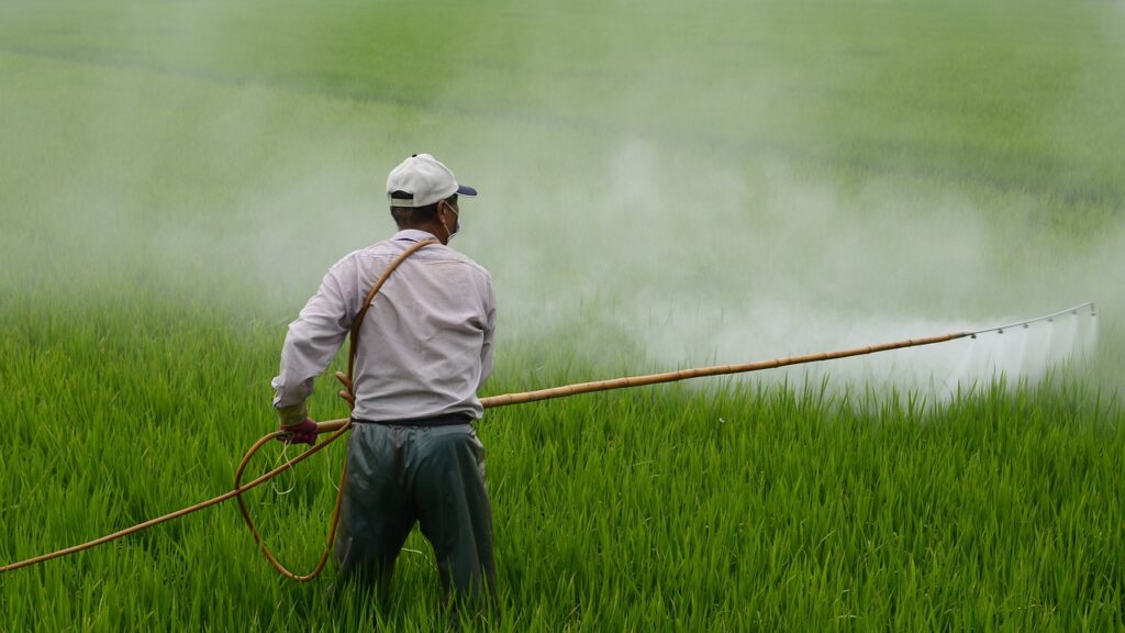 herbicide, farmer, in rice field, pesticide, poison, farmer, farmer, pesticide, pesticide, pesticide, pesticide, pesticide