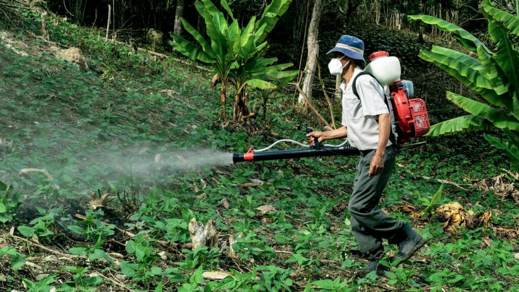 A farmer sprays pesticides in a lush forest area near Manacapuru, Brazil.