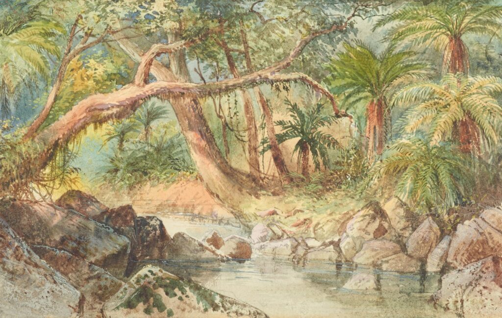 The beginning of the Devonian Period