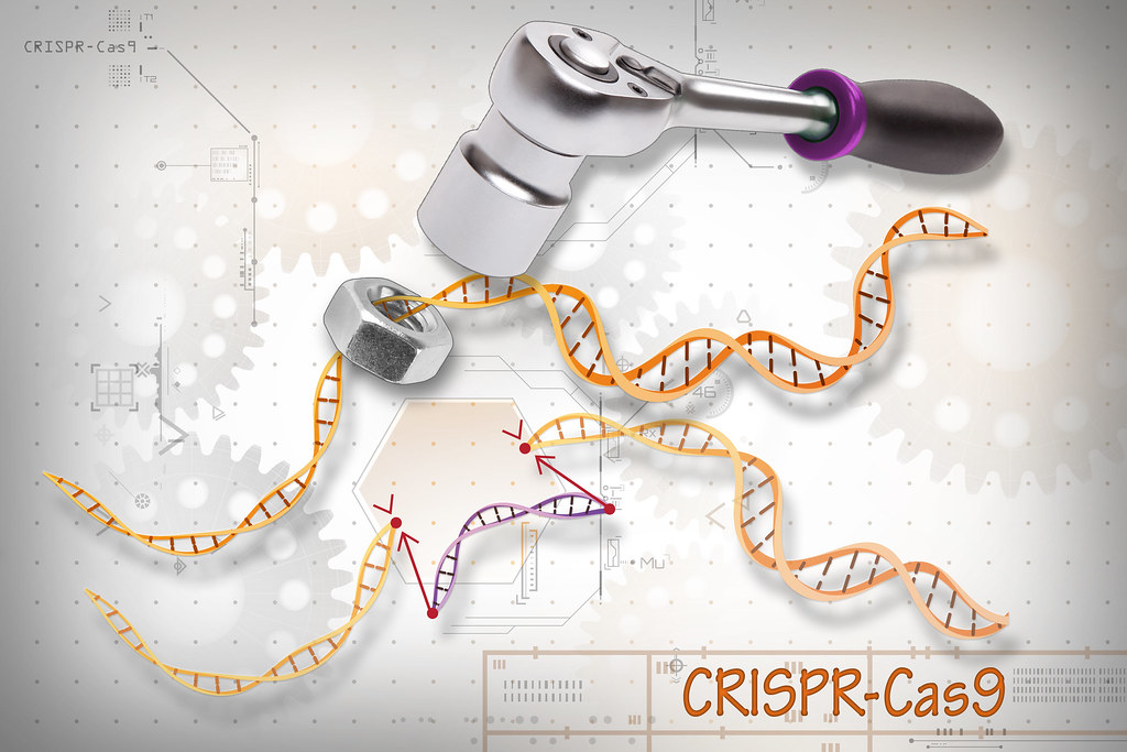 CRISPR-Cas9