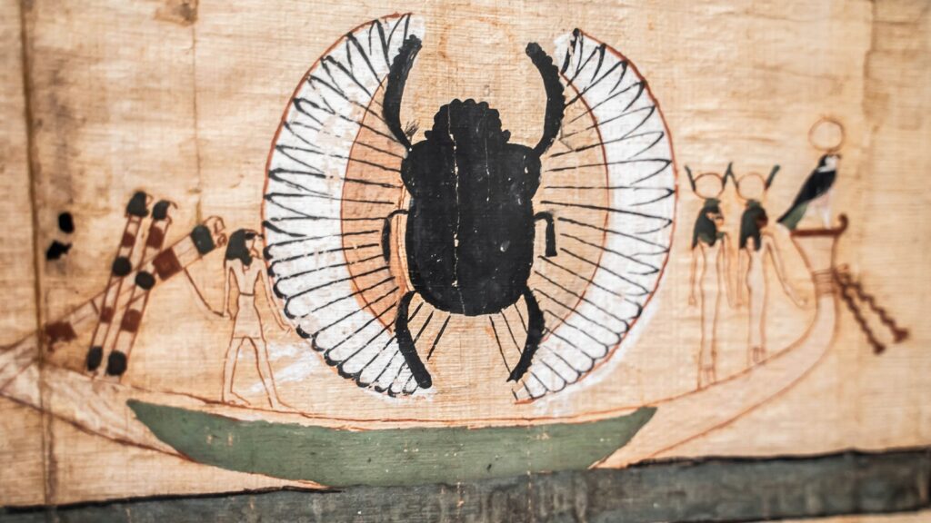 a picture of a bug on a piece of wood
