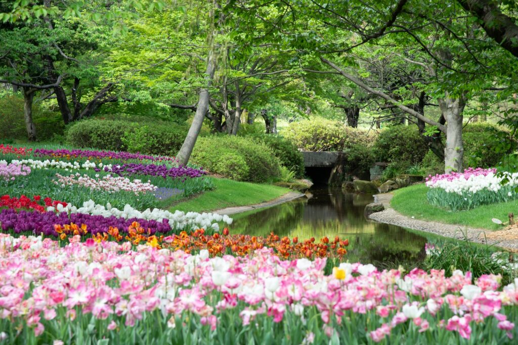 Purple flowers near green trees and river during daytime
